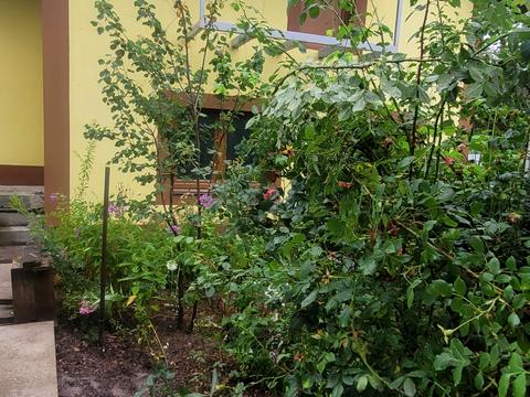 дом по адресу Лінія 5, 303