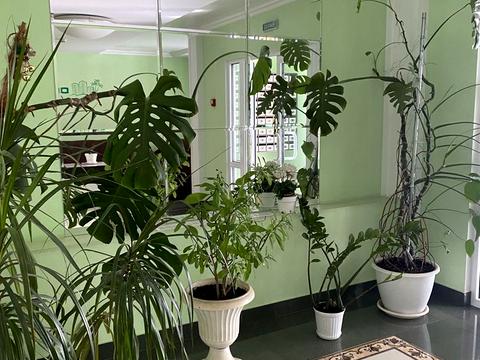 квартира за адресою Марсельська вул., 46/3