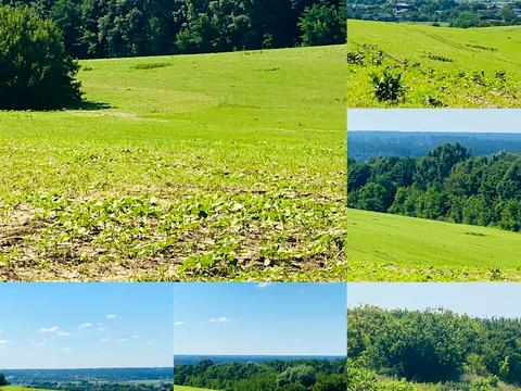 участок по адресу Балістична