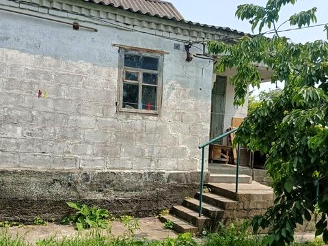 дом по адресу Большая Диёвская ул. (Братьев Трофимовых), 471