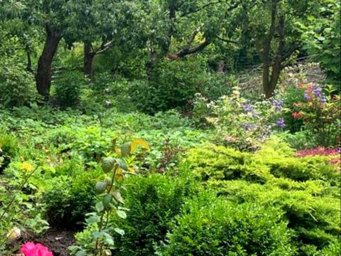 дом по адресу Підлісна, 123-А