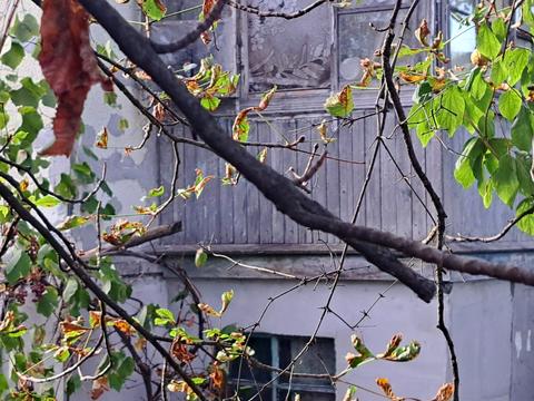 ділянка за адресою Русанівські сади вул., 11