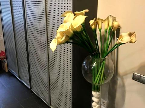 комерційна за адресою Микільсько-Ботанічна вул., 3