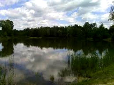 ділянка за адресою вулиця Л. Українки, 2