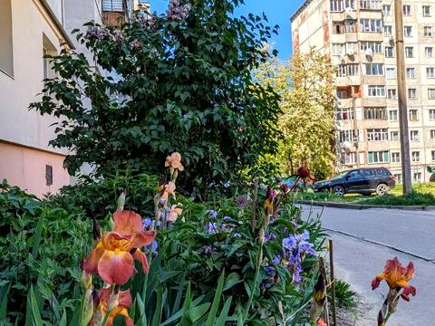 квартира по адресу Защитников Мариуполя ул. (Костромська), 3