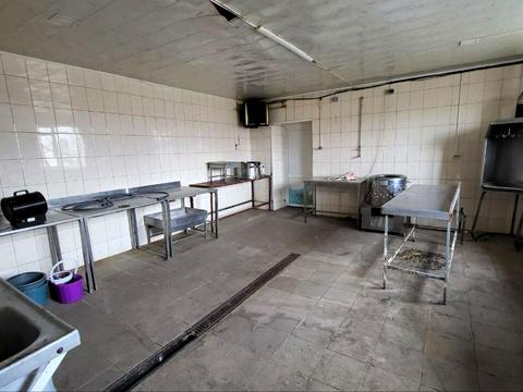 комерційна за адресою с. Новий Білоус, проточна, 9