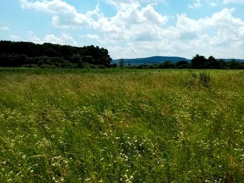 участок по адресу старе село