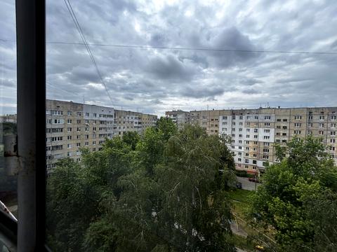 квартира по адресу Шафарика ул. (Рагузова), 8