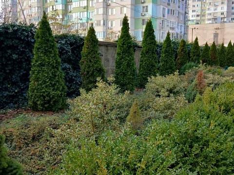 квартира по адресу Владислава Бувалкина ул. (Бочарова Генерала), 7
