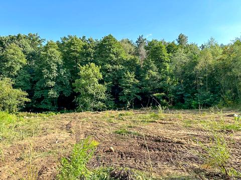 ділянка за адресою Пироговська вул.