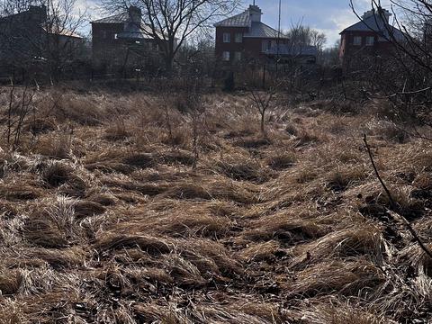 ділянка за адресою Дачна вул.