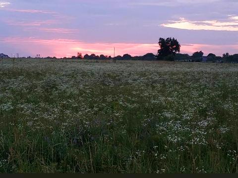 участок по адресу Софіївська