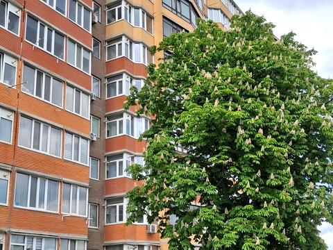квартира по адресу Марии Примаченко ул., 8в