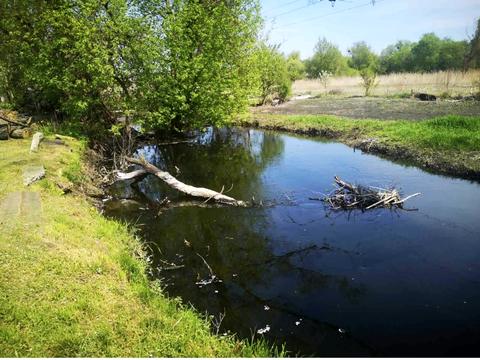 участок по адресу Речная ул., 5