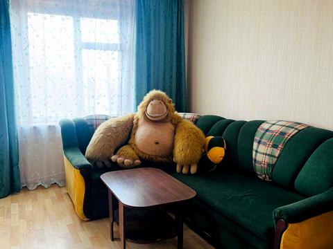 квартира за адресою Петра Дорошенка вул. (Блюхера), 3