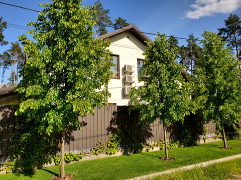 дом по адресу Революції