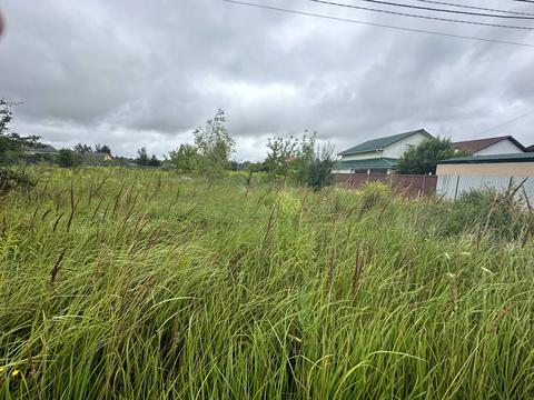 ділянка за адресою вул.Лісова