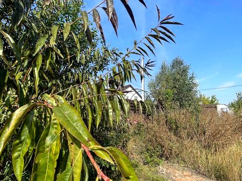 ділянка за адресою Сонячна, 1