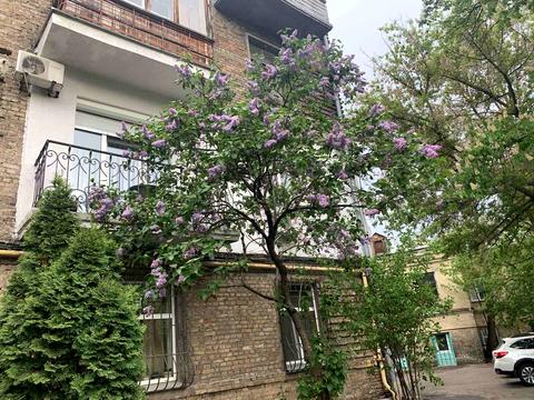 квартира по адресу Хорива пер., 4