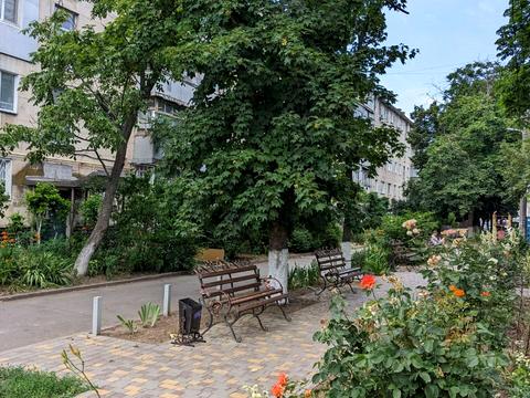 квартира за адресою Бреуса вул., 24