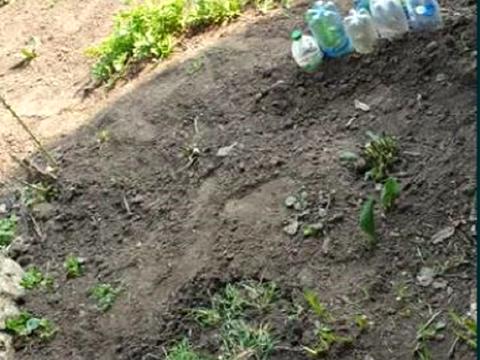 будинок за адресою Торгова вул., 12