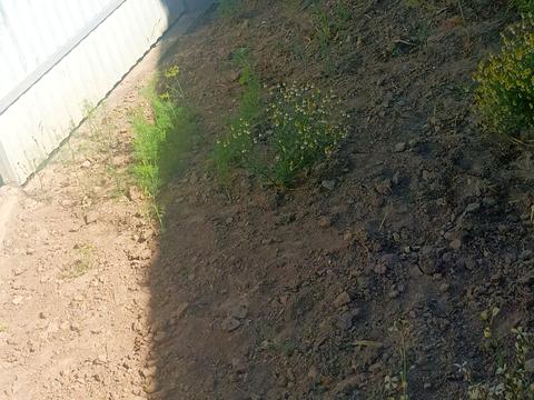будинок за адресою Наливайка Северина вул.