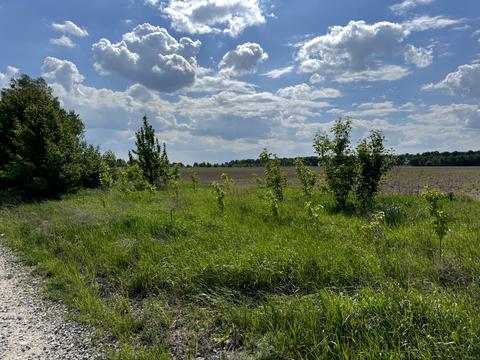 ділянка за адресою 