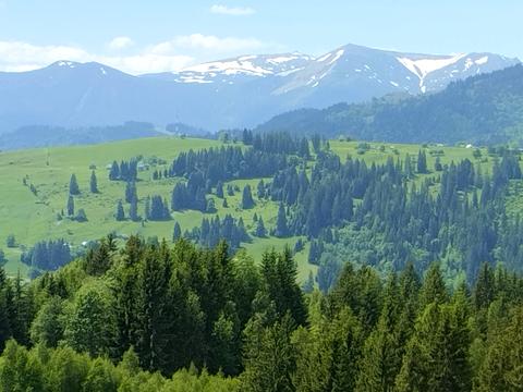 участок по адресу пгт. Верховина, 