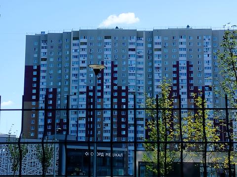 квартира за адресою Олександра Олеся вул., 5