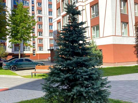 квартира по адресу Отца Ивана Блавацкого ул., 18, к.12