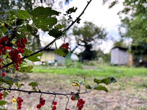 участок по адресу 