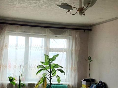 квартира по адресу пушкина