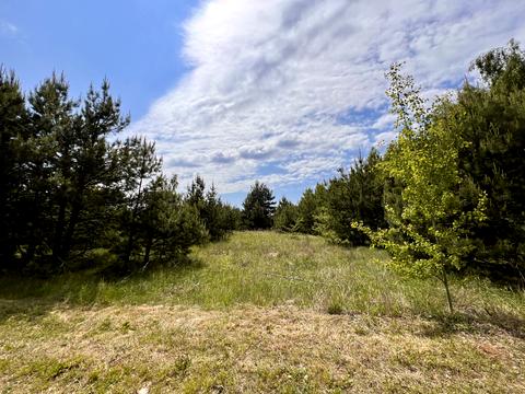 ділянка за адресою с. Блиставиця, 