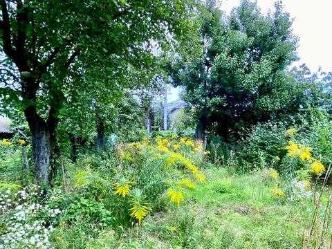 ділянка за адресою 57-ма Садова, 71