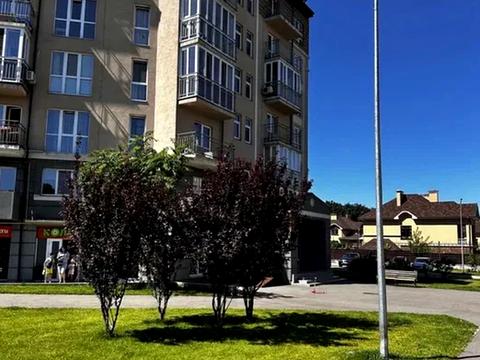 квартира за адресою Метрологічна вул., 60
