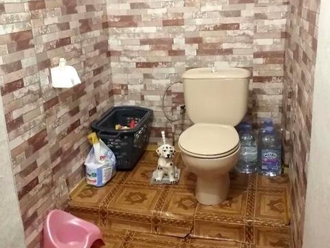 квартира по адресу Миру просп., 73/2