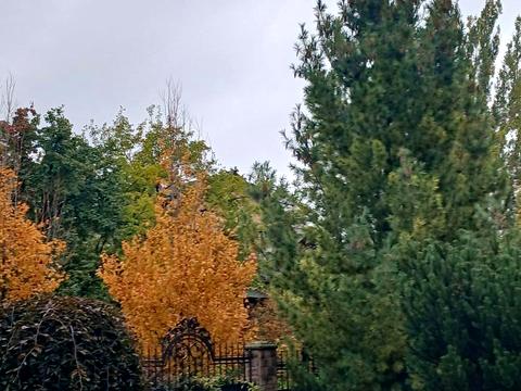 комерційна за адресою Лисогірська вул., 6