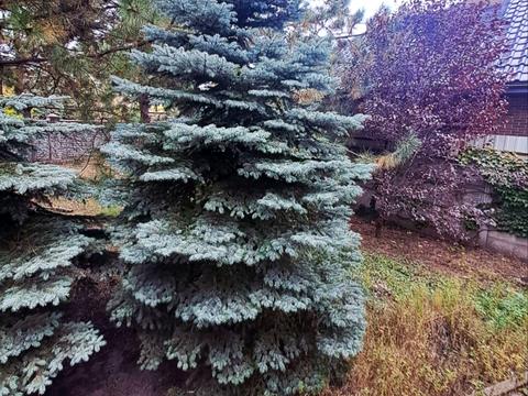 дом по адресу Провулок Дослідний