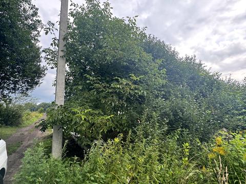 участок по адресу Александра Довженко ул., 27