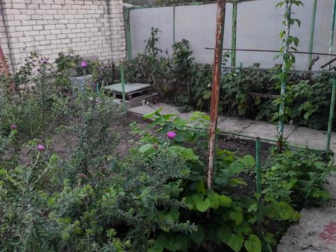 дом по адресу Марата ул., 5