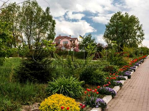 будинок за адресою с. Березівка, Житомирська вул.