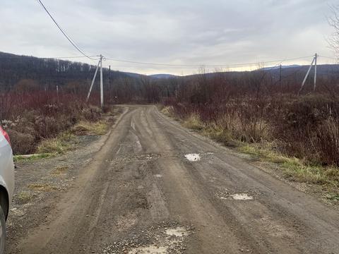 будинок за адресою с. Невицьке, Центральна
