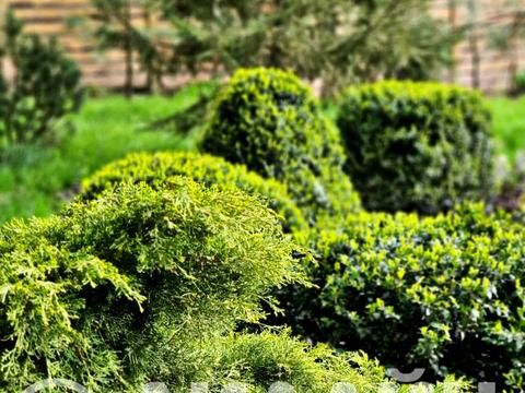 коммерческая по адресу Запорожье, Леонида Жаботинского ул. (Правды), 61