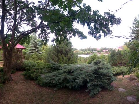 будинок за адресою смт. Козин, Старокиївська вул.