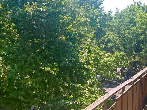 квартира за адресою Богдана Хмельницького вул., 36