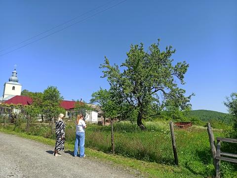 участок по адресу Мирна