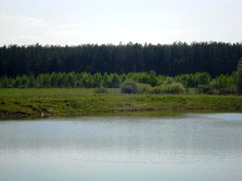 участок по адресу 