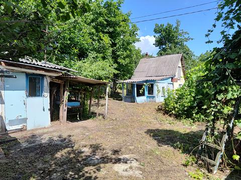 ділянка за адресою с. Велика Вільшанка, Колгоспна
