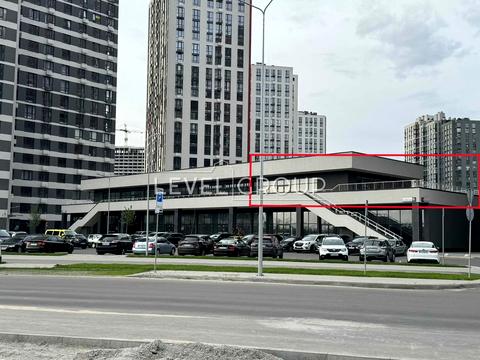 комерційна за адресою Олександра Олеся вул., 8а