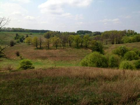 ділянка за адресою с. Великі Дмитровичі, 